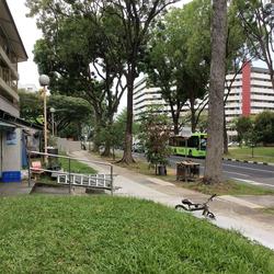 Jurong West Street 41 (D22), Shop House #130824262